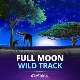 Full Moon: Wild Track