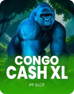 Congo Cash XL