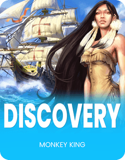 The Discovery