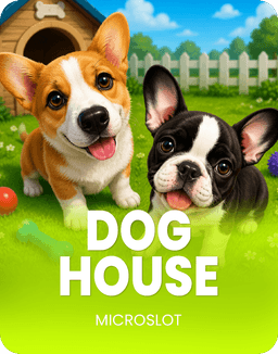 Dog House