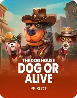 The Dog House – Dog or Alive