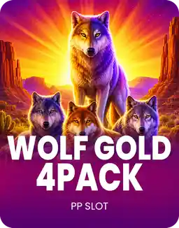 Wolf Gold 4 Pack