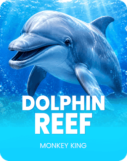 Dolphin Reef