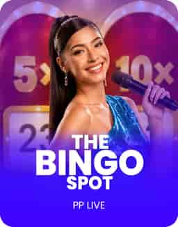 The Bingo Spot