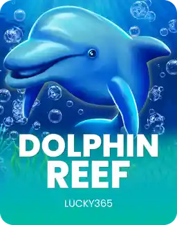 Dolphin Reef