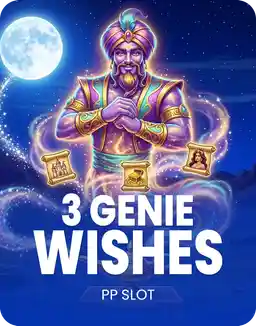 3 Genie Wishes