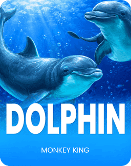 Dolphin