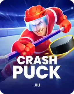 Crash Puck
