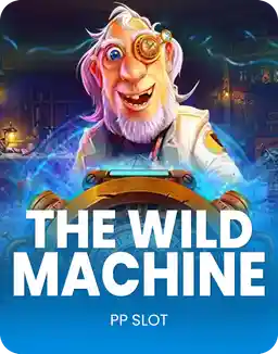 The Wild Machine