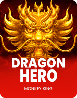 Dragon Hero